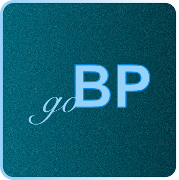 goCorporate Blueprint program logo